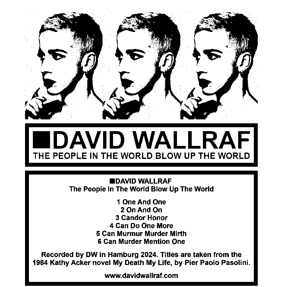 ■David Wallraf - The People In The World Blow Up The World_crop